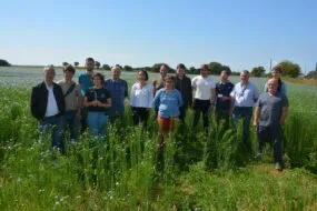 Groupe de personnes dans un champ de lin