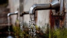faucet 1684902 1920