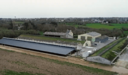 élevage de dinde avec préau