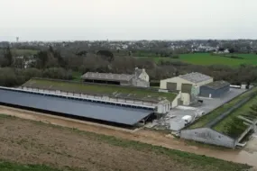 élevage de dinde avec préau