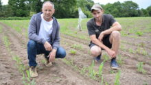 Deux agriculteurs dans un champ de maïs