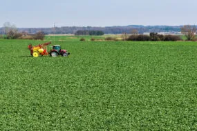 Pulvérisateur dans un champ de colza