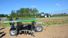 Farmdroid et Ecorobotix dans un champ d'oignon.