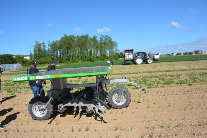 Farmdroid et Ecorobotix dans un champ d'oignon.