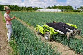 Une personne filme des maraîchers au travail