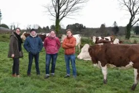 Quatre personnes dans un champ avec des vaches MOntbéliardes.