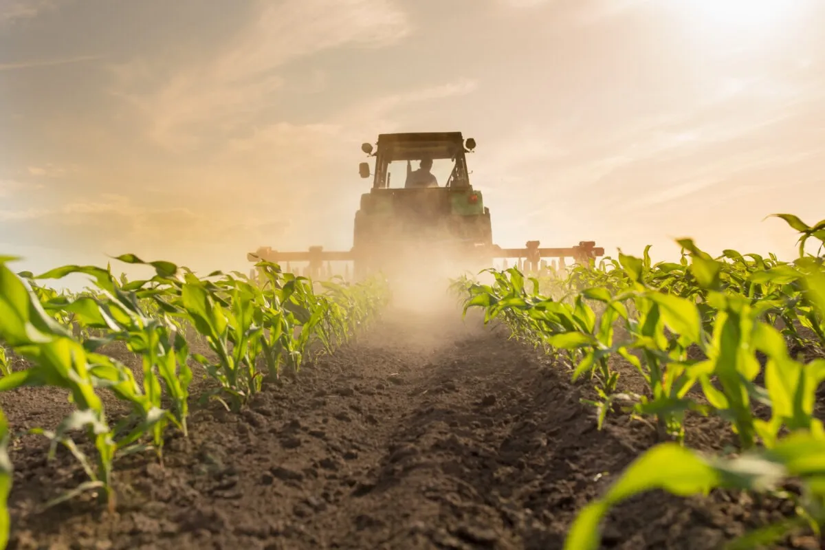tractor harrowing corn field - Illustration Un parcours semé d’embûches pour la LOA
