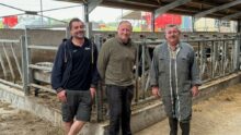 Nicolas, Pierre-Yves et Dominique Le Borgne, producteurs de lait, dans leur bâtiment.