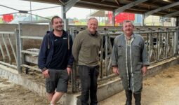 Nicolas, Pierre-Yves et Dominique Le Borgne, producteurs de lait, dans leur bâtiment.
