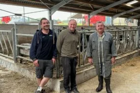 Nicolas, Pierre-Yves et Dominique Le Borgne, producteurs de lait, dans leur bâtiment.