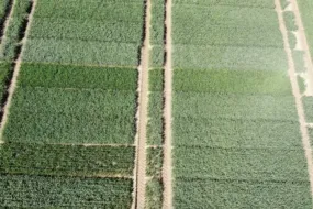 capture d’écran 2024 07 12 à 08.47.36