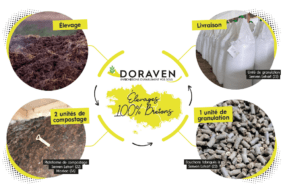 doraven