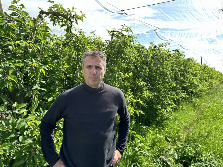 Arboriculteur dans son verger