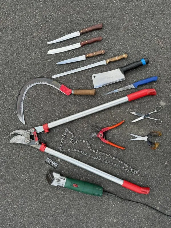 Une série d'outils tranchants.