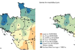 Carte des dates prévisionnelles de récolte du maïs fourrage pour 2024 en Bretagne