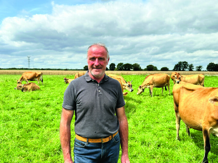 Agriculteurs dans une prairie avec des jersiaises