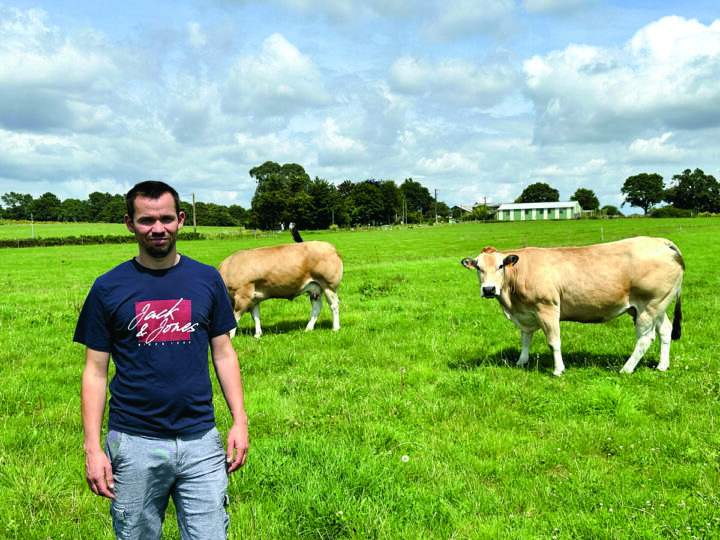 Agriculteurs dans une prairie avec des vaches Parthenaises