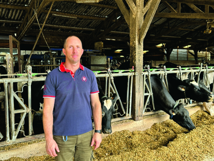agriculteur devant stabulation avec vaches
