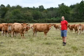 L'éleveur avec ses bovins dans une parcelle d'herbe