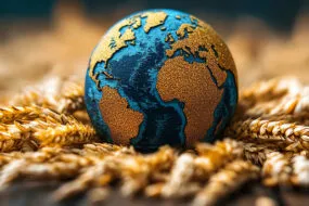 Carte mondiale sur un globe posée sur des épis de blés.