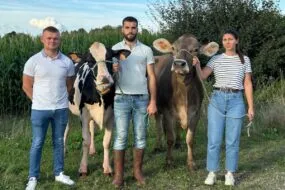 Trois jeunes passionés de belle vache, deux homme et une femme, accompagnant une vache Holstein et une vache Brune