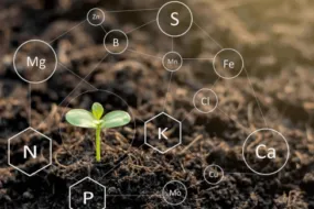 Sols-et-elements-nutritifs