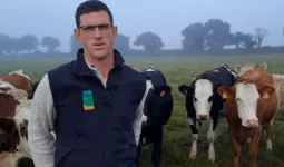 Franck, éleveur au Haut-Corlay 22 devant des vaches dans un champ