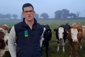 Franck, éleveur au Haut-Corlay 22 devant des vaches dans un champ