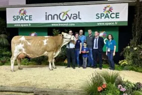 vache Simmental et éleveurs sur le podium du Space