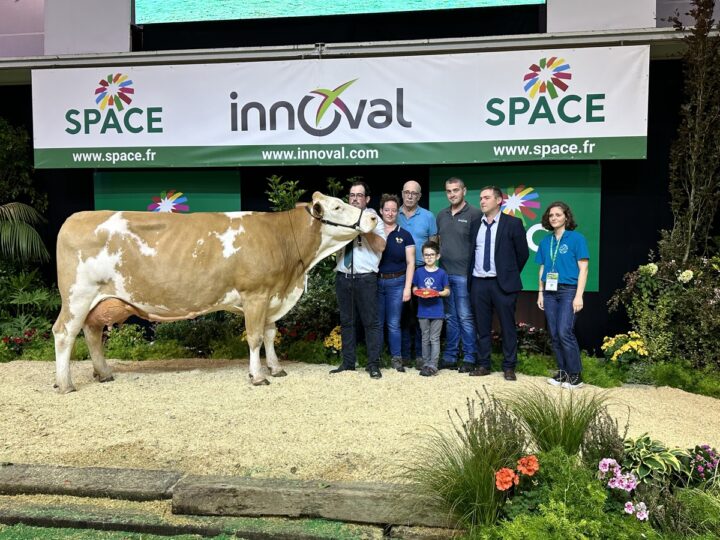 vache Simmental et éleveurs sur le podium du Space