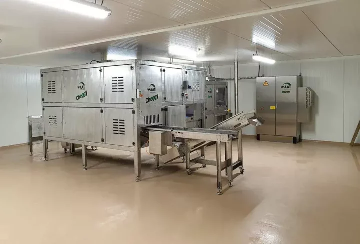 Machine permettant l’ovosexage installée dans un couvoir.