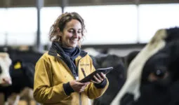 portrait d'une femme à côté de vaches laitières