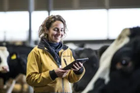portrait d'une femme à côté de vaches laitières