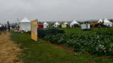 Vue sur le salon bio à Retiers, en extérieur