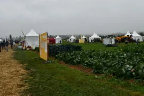Vue sur le salon bio à Retiers, en extérieur