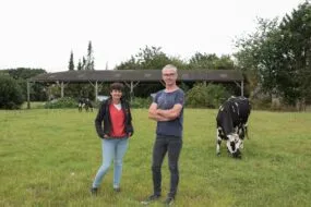 éleveurs dans une prairie