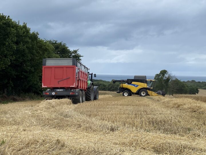 Une moissonneuse et un tracteur avec sa remorque dans un champ