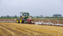 Un tracteur en train de labourer un champ entouré de goélands