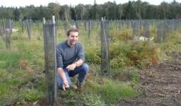 Technicien forestier dans une jeune chênaie