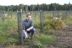 Technicien forestier dans une jeune chênaie