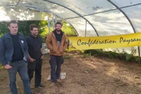 Des represenatants de la Confédération paysanne du Finistère dans une serre