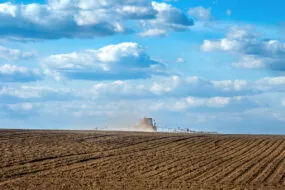 Semis de céréales dans un champ