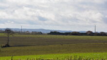 paysage breton avec champ de céréales qui lèvent