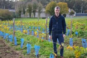 Aurélien Berthou,dans un champ de vigne