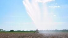 Irrigation dans un champ