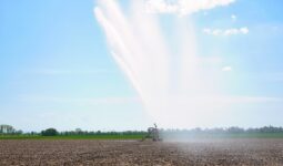 Irrigation dans un champ