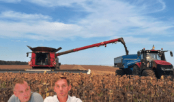 Montage de 2 hommes sur un fond d'activité d'ensilage dans un champ