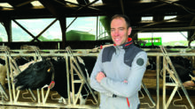 David Beauducel dans la stabulation