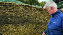 Un éleveur devant un silo d'ensilage de méteil
