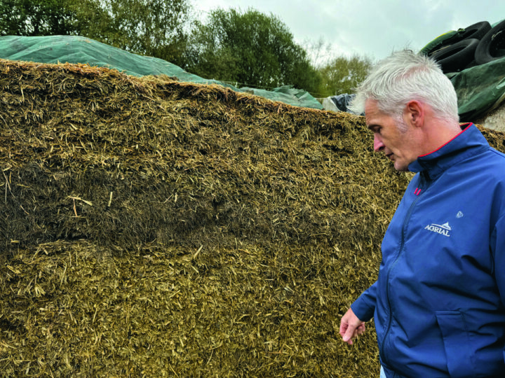 Un éleveur devant un silo d'ensilage de méteil